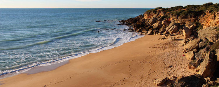 Calas de Roche en Conil